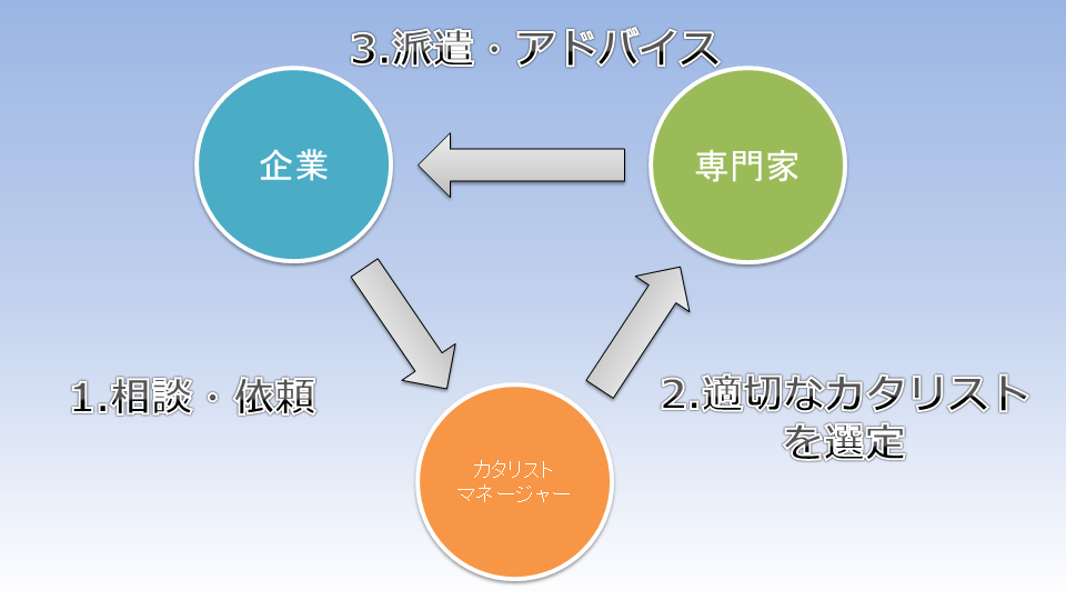 ビジネスカタリストの概要図