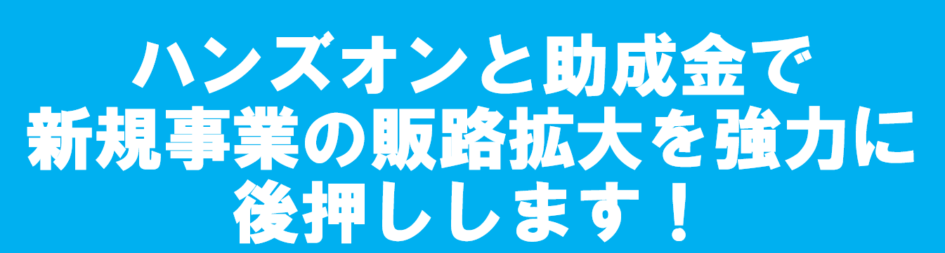 新規事業展開支援事業