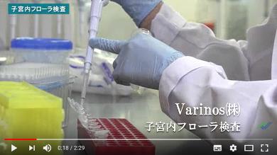 Varinos株式会社